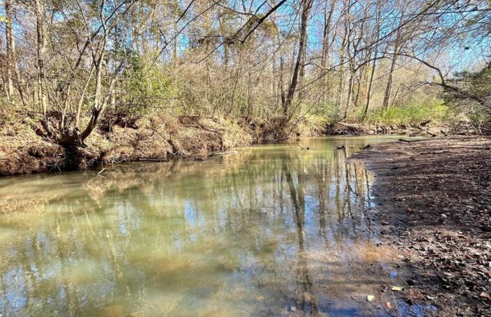 205 +/- Acres with Timberland, Creeks, & Prime Wildlife Habitat
