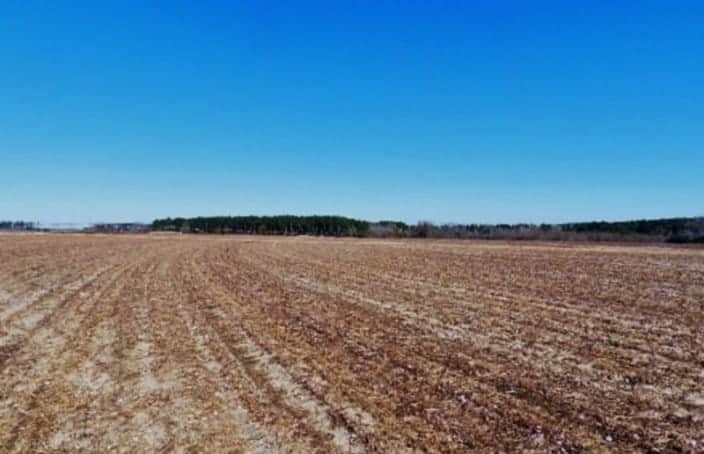 Farmland Auction: 245.73 Acres Cropland & Timberland in Screven County, Georgia
