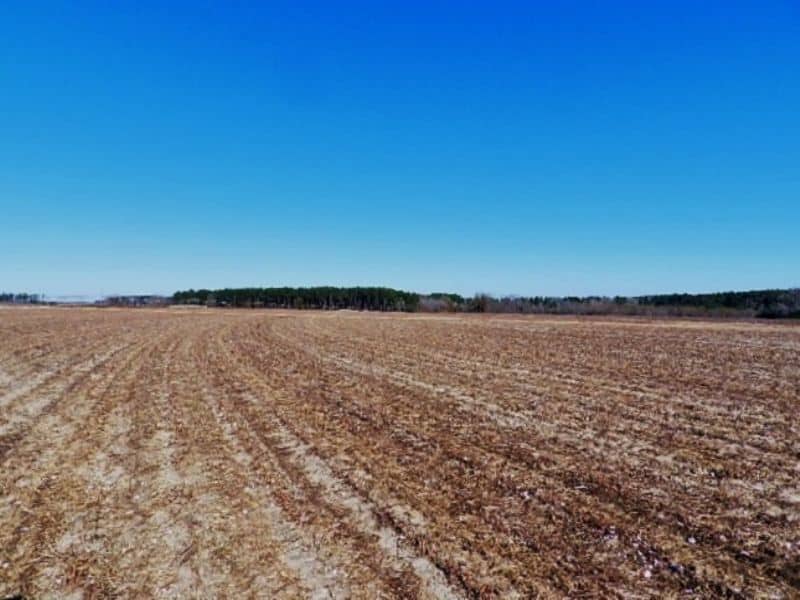 Farmland Auction 245.73 Acres Cropland & Timberland in Screven County