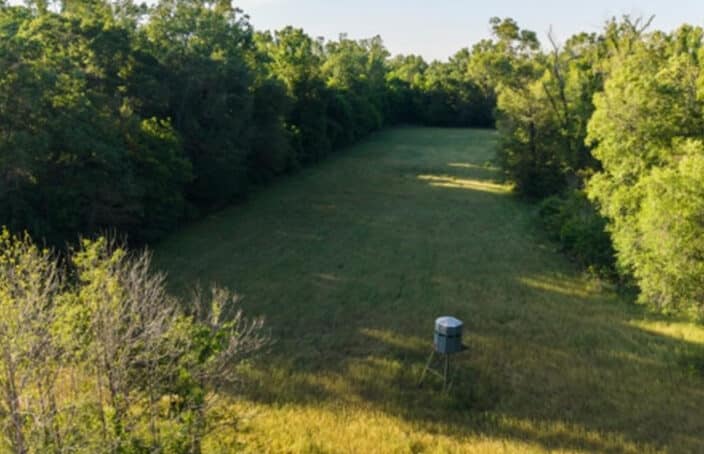 Turnkey Louisiana Hunting Tract with Camp and Income