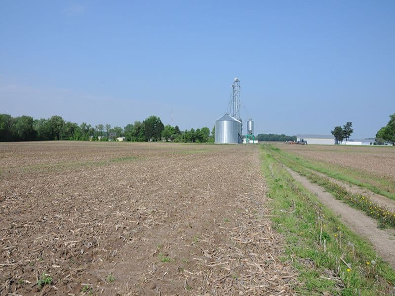 Featured Auction 525 +/ Acres Productive Farmland in South Bend