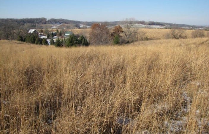 Featured Land: 75 Acres, CRP on the Platte River in Wisconsin