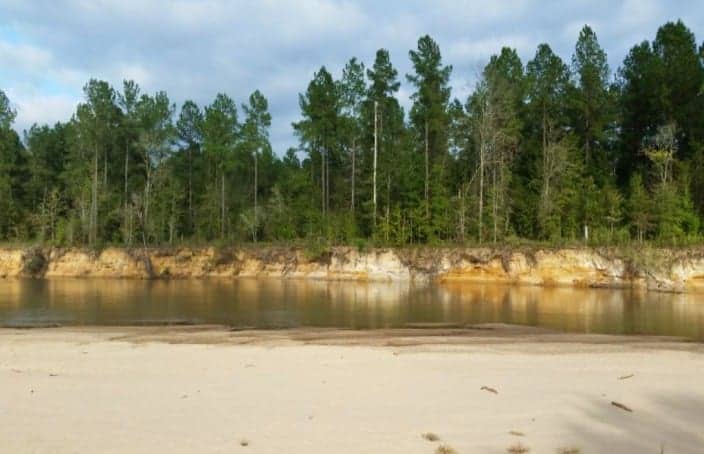 Coffee Bluff River Tract