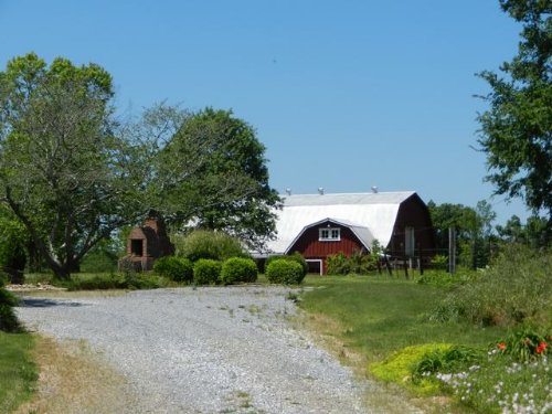 Flag Mountain Farm
