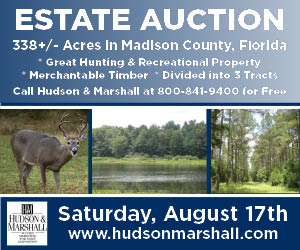 Hudson and Marshall Auction