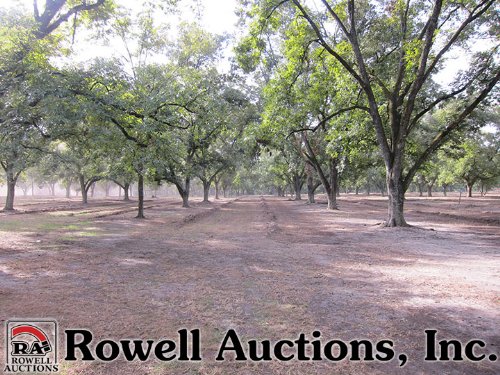 Rowell Auction in Lee County Georgia