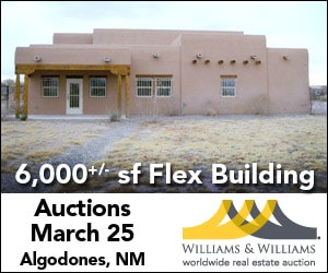 Williams & Williams Auction Flex Building