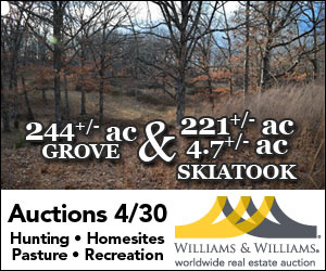Auction Spotlight: 3 Properties Located in Grove & Skiatook, Oklahoma