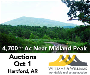 Williams and Williams Auction in Arkansas
