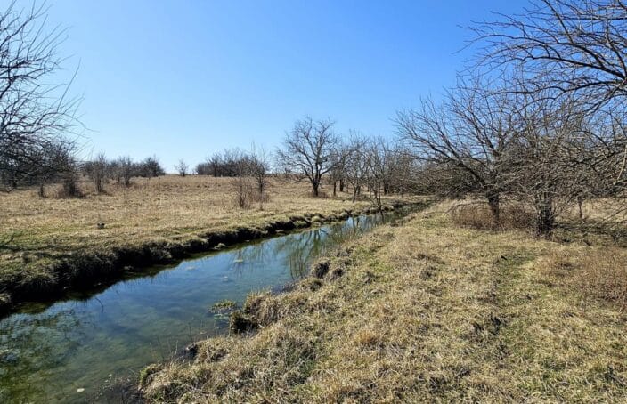 Absolute Auction Phares Ranch in Kansas