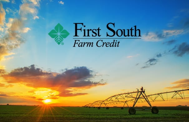 Affiliate Spotlight: First South Farm Credit