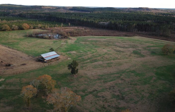 Alabama Cattle Farm Offers Income and Recreation