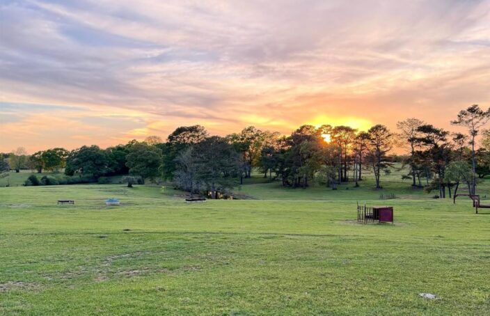 Alabama Cattle Farm Offers Old Southern Feel