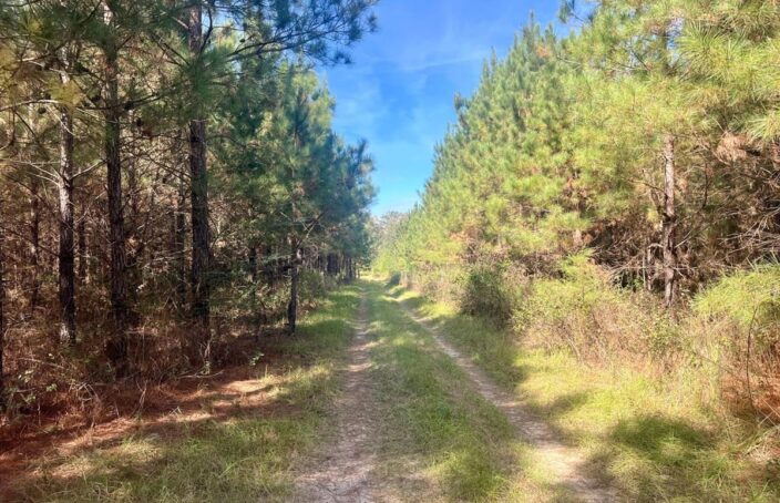 Alabama Farm Offers Hunting, Long-Term Investment Potential