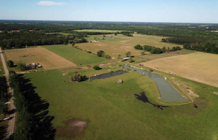 Alabama Farm Offers Options for Revenue and Homesteading