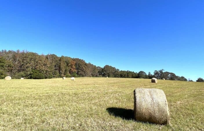 Alabama Grazing Farm with Rolling Pastures