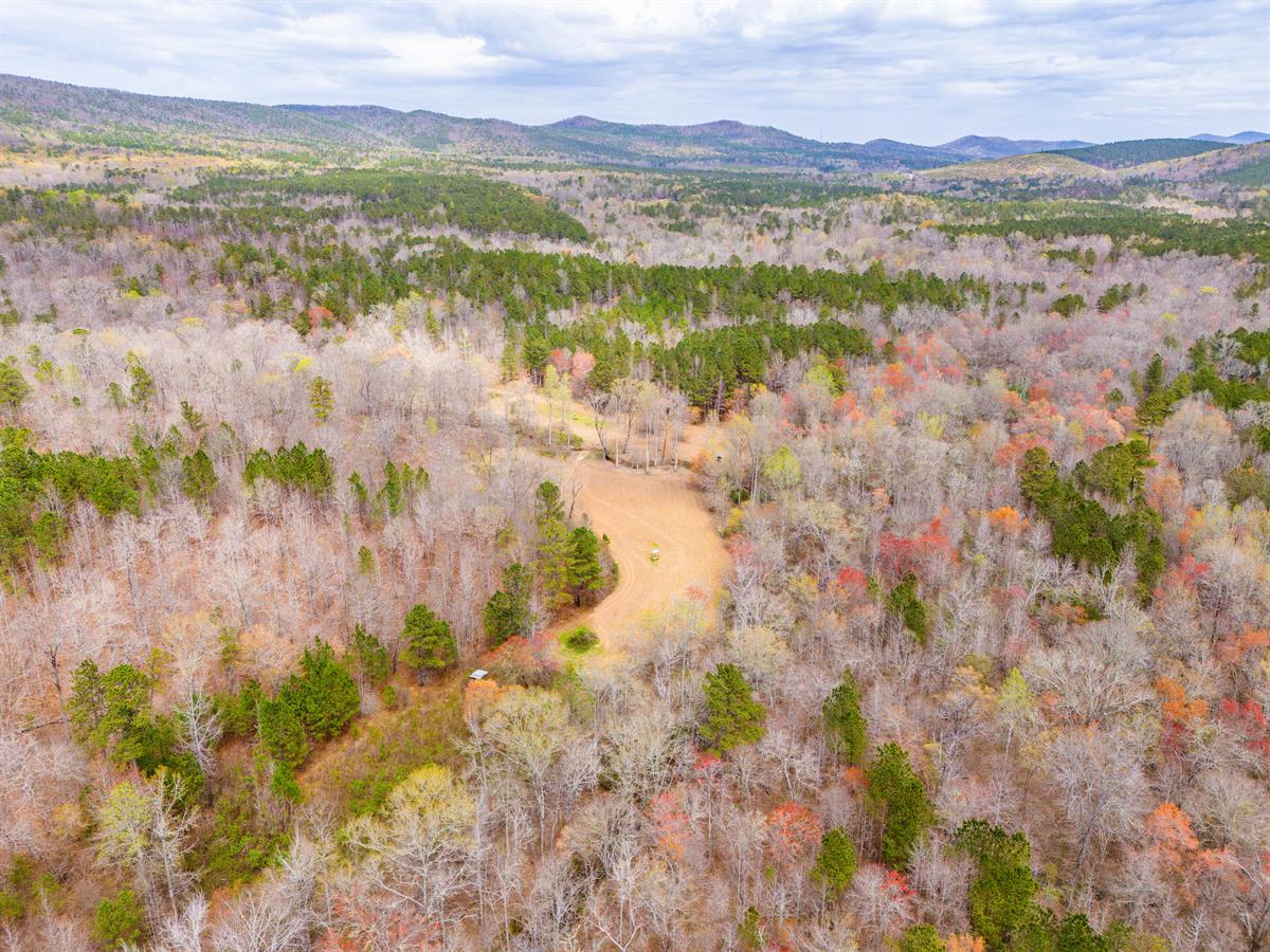 Private Alabama Property Surrounding Talladega National Forest LANDFLIP BLOG