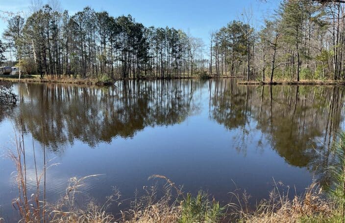 Alabama Recreational Tract with 2 Acre Stocked Pond