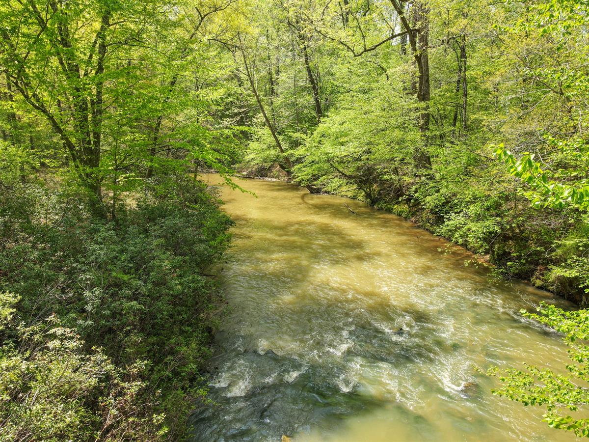 Alabama Tract Offers Endless Recreational Opportunities - LANDFLIP BLOG