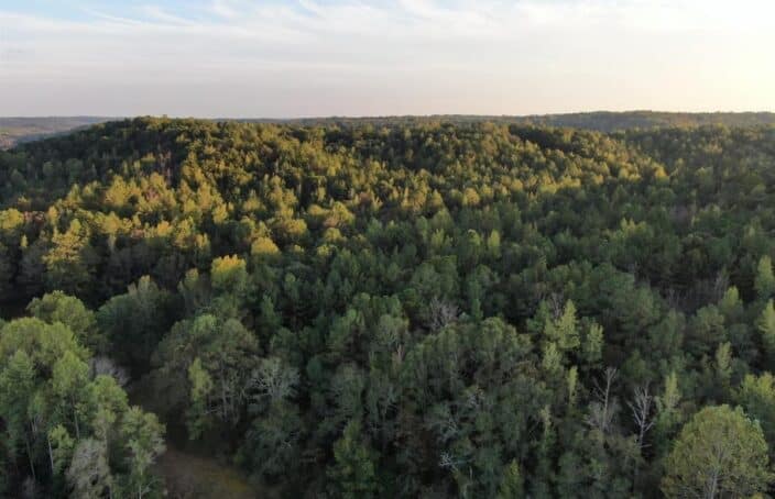 Alabama Tract Offers Recreation, Wildlife Habitat, and Timber