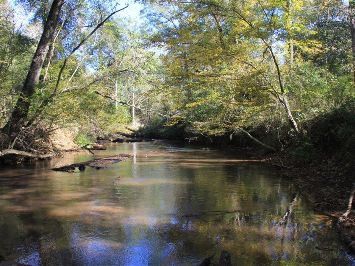Alabama Tract Offers Recreational Qualities and Potential