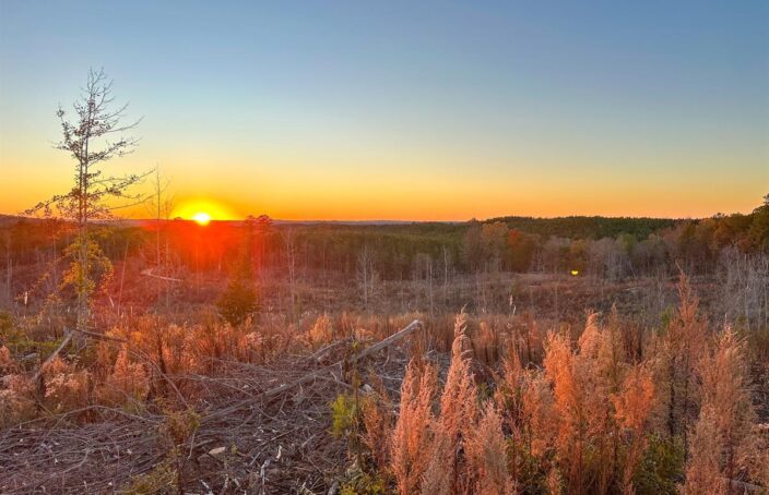 Beautiful Hunting Tract Near Lake Martin