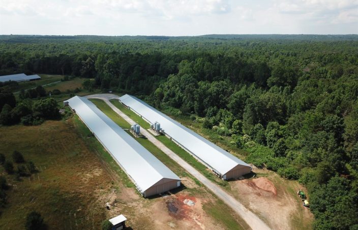 Breeder Hen Farm in Scenic Area of Northeast Alabama