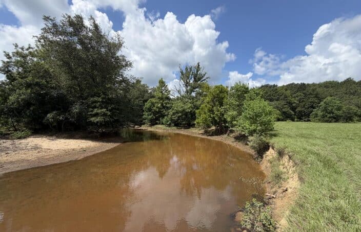 Cattle and Hunting Ranch on the Conecuh River