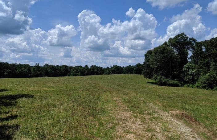 Cattle Farm in Georgia Offers Creek Frontage, Pasture & Timberland