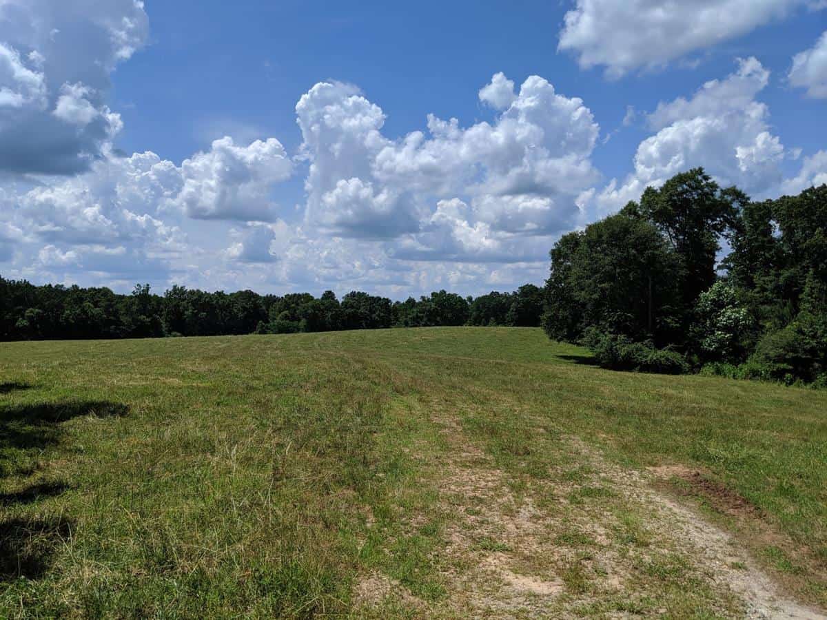 Cattle Farm in Offers Creek Frontage, Pasture & Timberland LANDFLIP BLOG