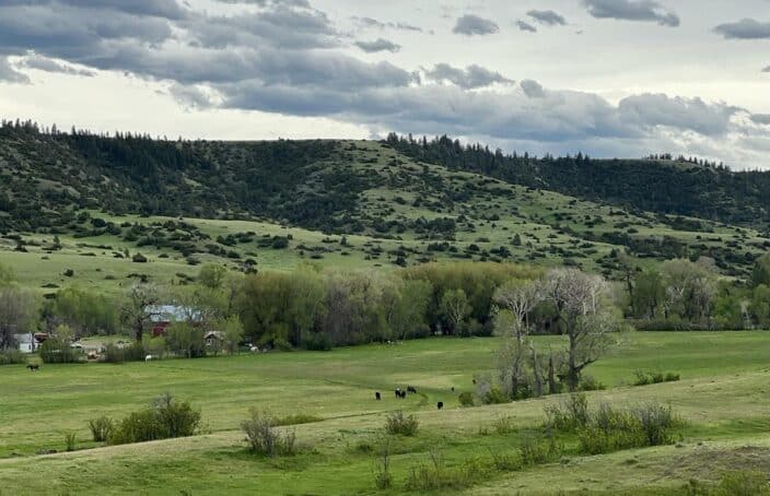 Cattle Ranch and Recreational Oasis in Montana