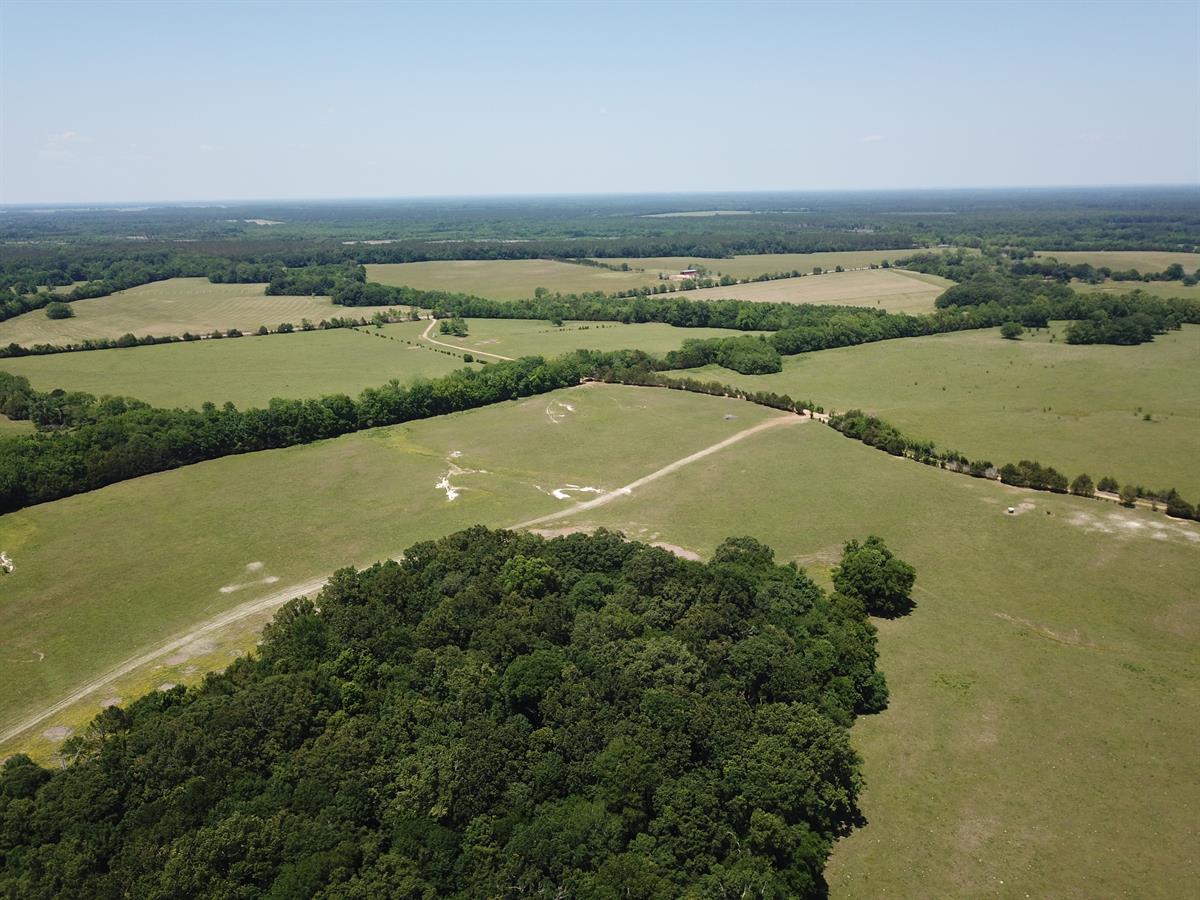 Cattle Ranch With Unlimited Sites And Vistas For Building - LANDFLIP BLOG