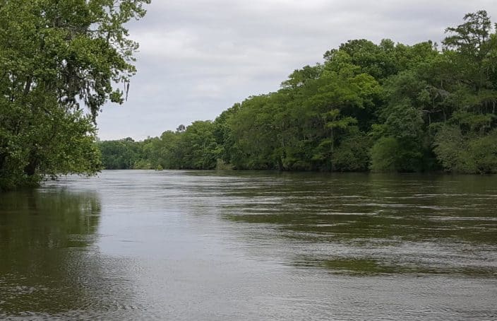 Cotton Boat Shoals on the Beautiful Flint River