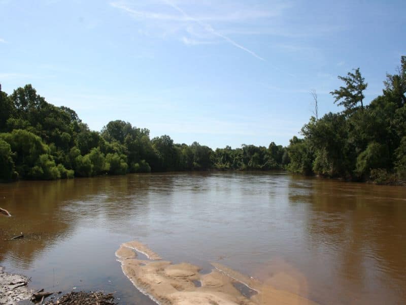 Featured Land: Cypress Creek Hunting Preserve in Mt. Vernon, Georgia ...