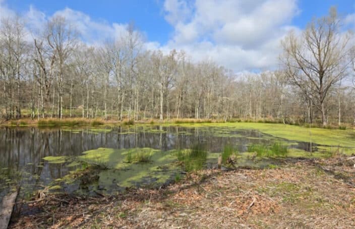 Deer & Duck Hunting Land is a Sportsman's Paradise