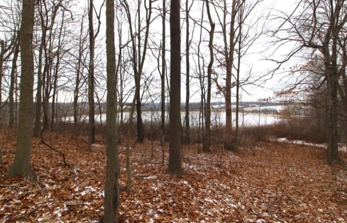 Excellent Hunting Tract in Trophy Buck Area of Ohio