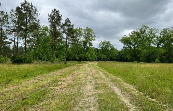 Exceptional Tract for the Investor or Outdoorsman
