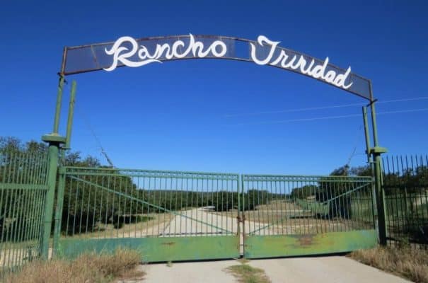 Exotic Game Ranch in Texas Hill Country - LANDFLIP BLOG