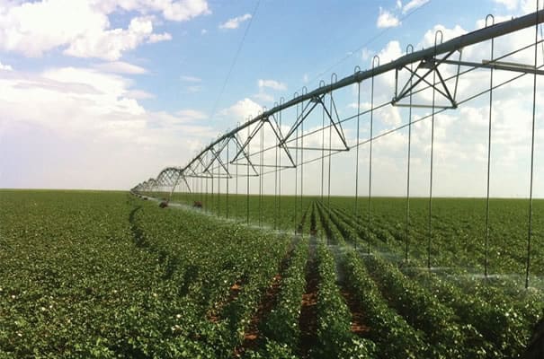 Featured Auction: 10,560 +/- Acres Tillable & Irrigated Farmland in Texas