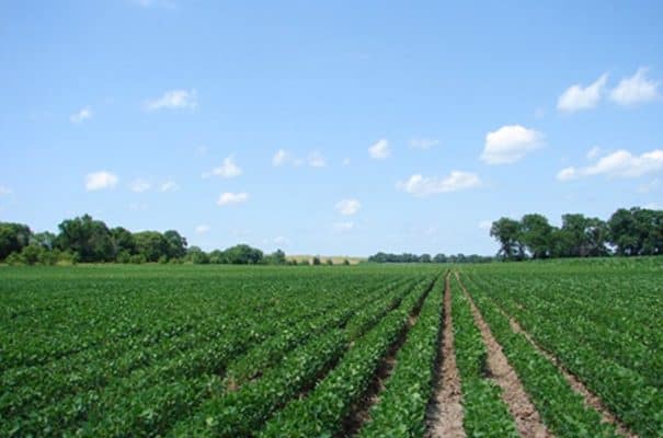 Featured Auction: 723 Acres Farmland, Pastureland And Home - LANDFLIP BLOG