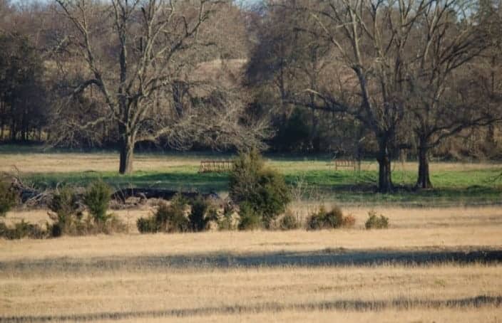 Featured Auction: Texas Land Well-Suited for Cattleman or Hunter