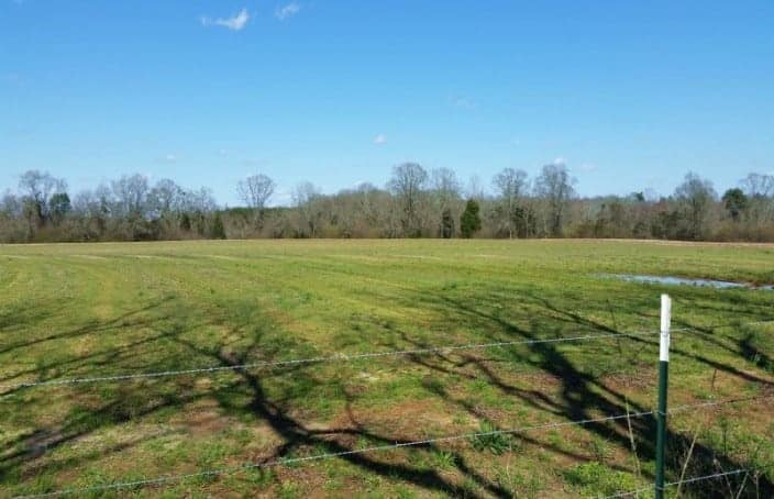 Featured Land: The Lee Farm Tract in Alabama