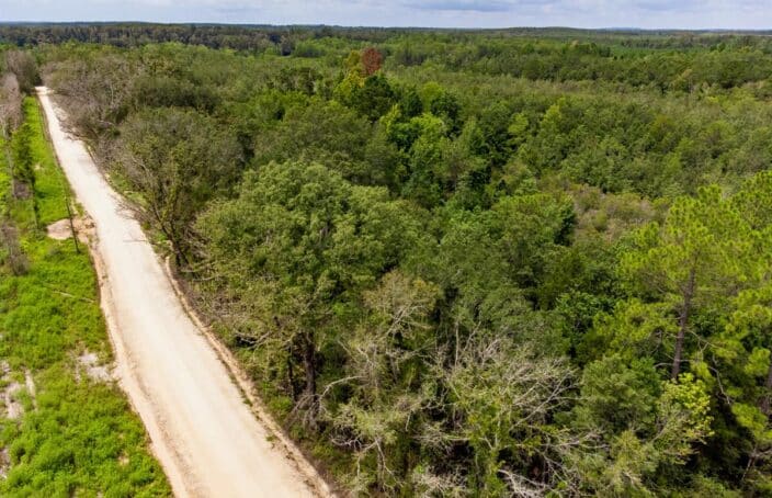 Florida Mini Farm Offers Ample Privacy and Natural Forest