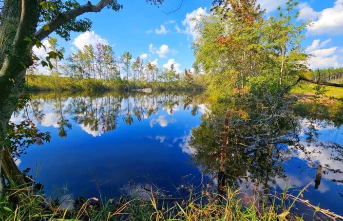 Georgia Hunting Tract with Pond & Well