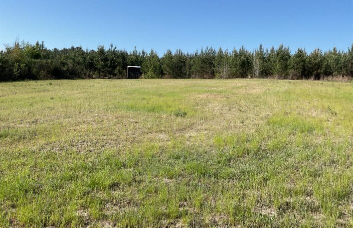 Great Timber Investment with Recreational Opportunities