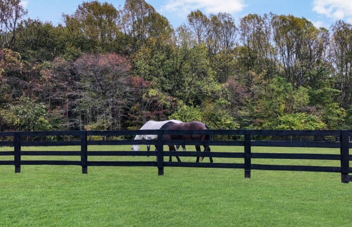 Horse Woods Haven is a Sanctuary for Horse Enthusiasts