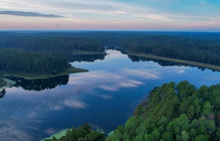 The Hudson Plantation: An Exceptional Timber & Recreational Property