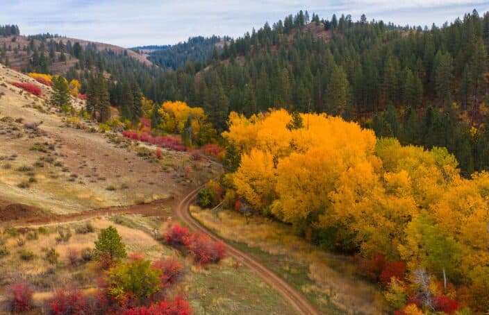 Hunt Across 2,300 Acres Bordering National Forest