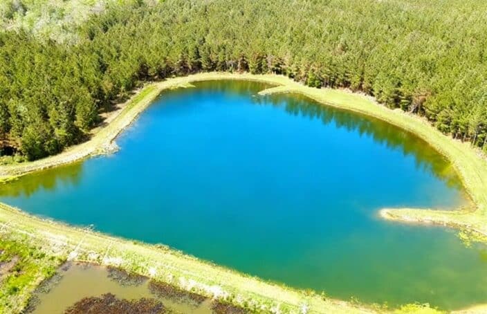 Hunting and Recreational Tract with Pond