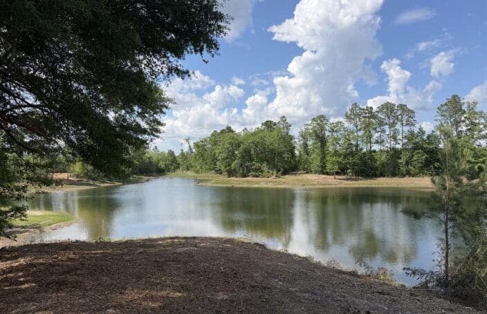 Hunting and Investment Tract with Two Private Lakes